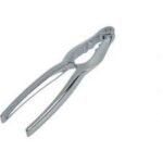 ΚΑΡΥΔΟΘΡΑΥΣΤΗΣ